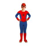 Sedirli Spiderman Kostümü Örümcek Adam Kostüm Çok Renkli