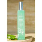 Seeds Makyaj Öncesi Ve Sonrası Nemlendirici Canlandırıcı Yüz Misti- Itır, Aloe Vera, Yeşil Çay
