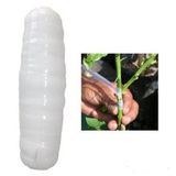 Şeffaf Ağaç Aşı Bandı Aşılama Bant 40 Metre 250 Gr