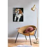 Şeffaf Köpek Temalı 30X40 cm Cam Tablo, Ev Dekorasyonu Için Mükemmel Seçenek - Ahşap - Beyaz - Seçenek 1