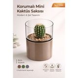 Şeffaf Korumalı Mini Kaktüs Saksı 8X10,5CM Renkli Plastik AH188