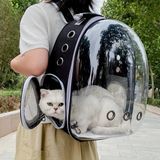 Şeffaf Pencereli Siyah Kedi Taşıma Çantası, Kabin Uyumlu, 9 Hava Kanalı ile Konforlu Seyahat - Ahşap