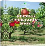Şeftali - Nektarin ve Erik Kitabı