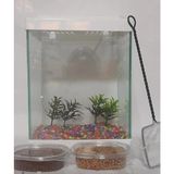 Sega Pet Mini Akvaryum Seti Küçük Akvaryum Beyaz Renk 20*26*15 cm Akvaryum-2 Bitki-2 Yem- Çakıl-Kepçe