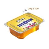 Seğmen Piknik 100x20 gr Süzme Çiçek Balı