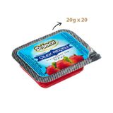 Seğmen Piknik 20x20 gr Çilek Reçeli