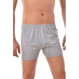 Seher Erkek Arjantin Boxer, Gri, 3XL Beden, 3 Adet