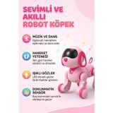 Seher Oyuncak Uzaktan Kumandalı Robot Köpek (ITEM KOD : SH40193) PEMBE
