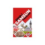 Şehr-I Samsun Yazıları - Mehmet Yılmaz