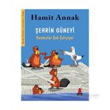 Şehrin Güneyi Kunduzlar Çok Çalışıyor - Hamit Annak