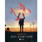 Şehrin İçinden Öyküler Desen Yayınları