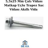 Seka Hand Tools 100 Adet 5,5X25 mm Çatı Vidası Matkap Uçlu Trapez Sac Vidası Akıllı Vida