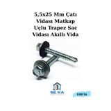 Seka Hand Tools 100 Adet 5,5X25 mm Çatı Vidası Matkap Uçlu Trapez Sac Vidası Akıllı Vida