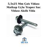 Seka Hand Tools 25 Adet 5,5x25 Mm Çatı Vidası Matkap Uçlu Trapez Sac Vidası Akıllı Vida sekatrapez55x25I25adet