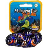 Şeker Adası Filede Kaliteli Deniz Hayvanları Misket 2 / Mandarin Fish