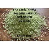 Şeker Gübresi (Amonyum Sülfat) Yavaş Salınımlı Akıllı Çim Gübresi 1500 Gr.
