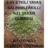 Şeker Gübresi (Amonyum Sülfat) Yavaş Salınımlı Akıllı Çim Gübresi