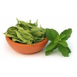 Şeker Otu Tohumu Stevia Tohumu 15 Adet Tohum + Spriz Hediye Tohum