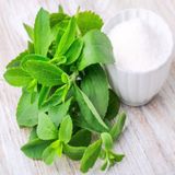 Şeker Otu Tohumu Stevia Tohumu 15 Tohum+Saksı+Toprak+ Tohum