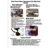 Şeker Pancarı Melas 30 Kg ( Doğal) + Sürpriz Hediye