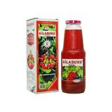 Şekersiz Kayseri Pazarı Gilaburu Nektarı 1 lt Meyve Suyu Aromasıyla Sağlıklı Seçim