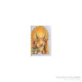 Şekilli Dinazorlar - Triceratops - kollektif