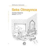 Seks Olmayınca Yeniden Başlama Sanatı Üzerine - Wilhelm Schmid