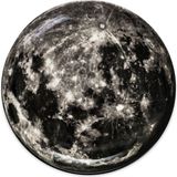 Seletti Diesel Cosmic Dinner Ay Porselen Supla 30 cm - Naturel - Standart
