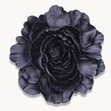Selim Lotus Siyah Dekoratif Çiçek