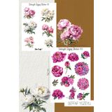 SelisCraft Şakayık Çiçeği Temalı Şeffaf Sticker Seti 01-02 Ajanda Planlayıcı Bullet Journal Için Uygundur