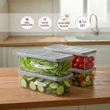 Selka Home 2 Adet 4 Lt. Nora Organizer Buzdolabı Buzluk Düzenleyici Saklama Kabı - Açık Gri