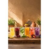 Selka Home Mevsim 6'lı Su Bardağı 205 ml - 6 Adet - 0 - 200 ml