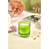 Selka Home Spring Egzotic Amazon Kokulu Organik Cam Mum 480 Gr