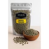 SELKUR Bamya Tohumu 100gr (YENİLEBİLİR,İLAÇSIZ)