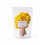 SELNUS Altın Otu Ölmez Çiçek Demet Altınotu Kuru Çiçek Immortelle Helichrysum italicum