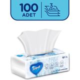 Selpak 100 Yaprak El ve Yüz Havlusu