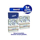 Selpak Maxi Kutu Mendil 5'li