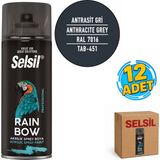 Selsil Arge Toptan Rainbow Akrilik Sprey Boya 400 ml Antrasit Gri Ral 7016 12 Adet