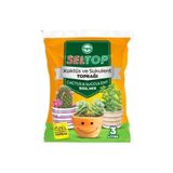 Seltop 3 Lt Kaktüs ve Sukulent Toprağı Çiçek Toprağı Torf Saksı Toprağı Süs Bitkisi Toprağı