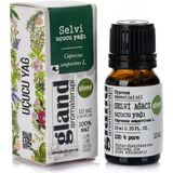Selvi Uçucu Yağı - Cupressus Sempervirens L. 10ml