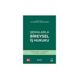 Şemalarla Bireysel İş Hukuku - İştar Urhanoğlu