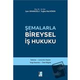 Şemalarla Bireysel İş Hukuku