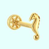 Sembol Gold 14 Ayar Altın Deniz Atı Tragus Piercing
