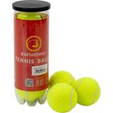Semel Tenis Topu 3’lü Set Dayanıklı Antrenman ve Maç Topları - Belirtilmemiş