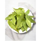 Semgiller Taze Defne Yaprağı Dalından - 450 gr
