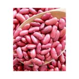 Seminis Fasülye Tohumu Gına Tipi Ipliksiz Oturak Fasulye Taze Fasulye 250 Gr