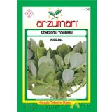 SEMİZOTU TOHUMU 10 GR ORT 4000 AD TOHUM