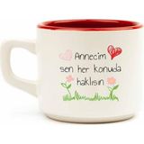 Sen Her Konuda Haklısın! Beyaz Venüs Kupa - Anneler Günü Hediyesi Kupa Fincan