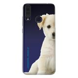 Senada General Mobile Gm 20 Pro Uyumlu İle Uyumlu Kılıf 0.4Mm Lazer Kesim Silikon Kapak Mini Golden