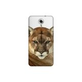 Senada General Mobile Gm 5 Plus İle Uyumlu Kılıf 0.4Mm Lazer Kesim Silikon Kapak Asil Aslan Kaplan